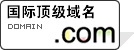 .COM域名 详细信息